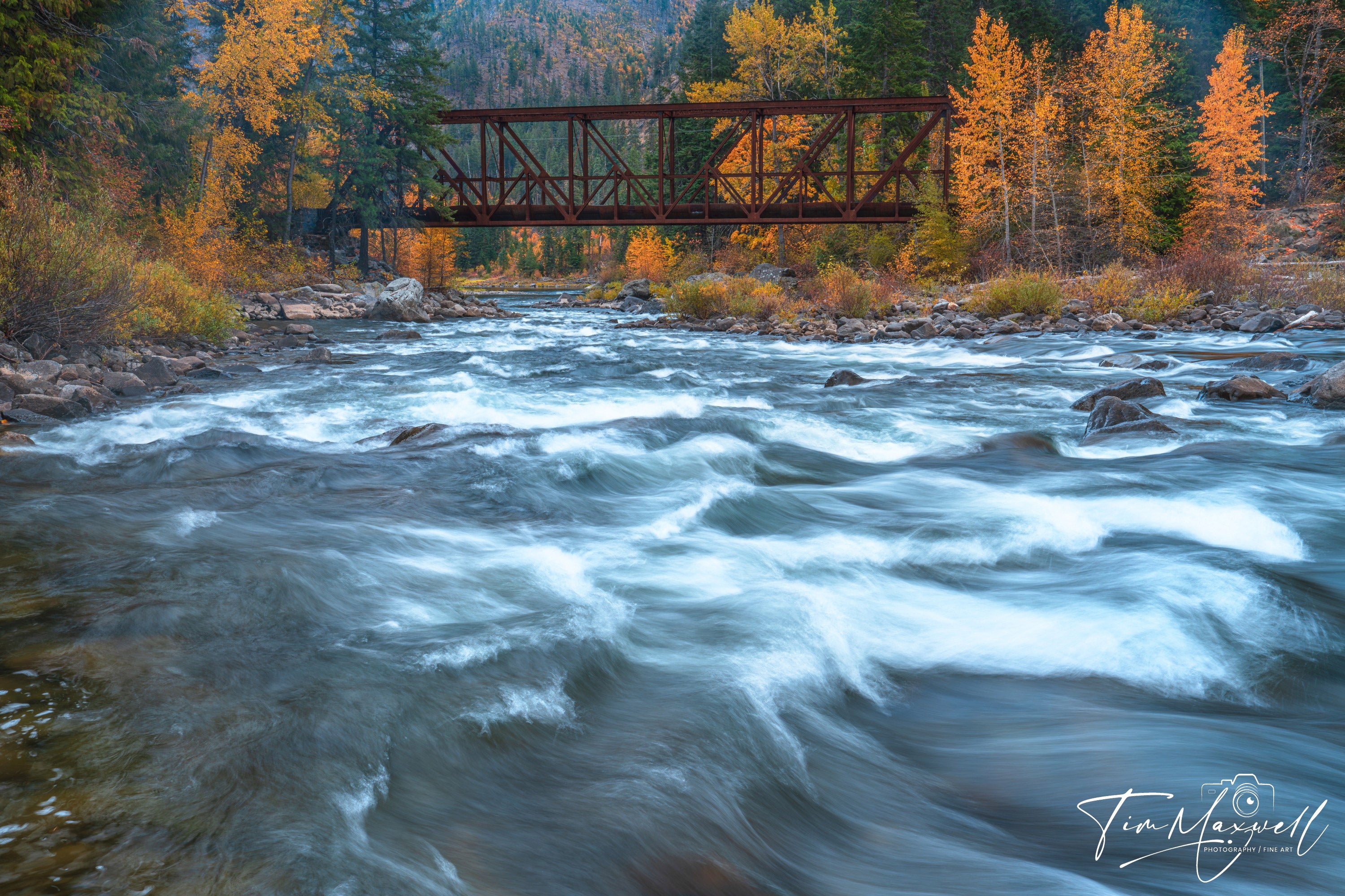 Wenatchee River rushing under a rustic steel bridge surrounded by golden aspens and evergreens in autumn, fine art print by Tim Maxwell.