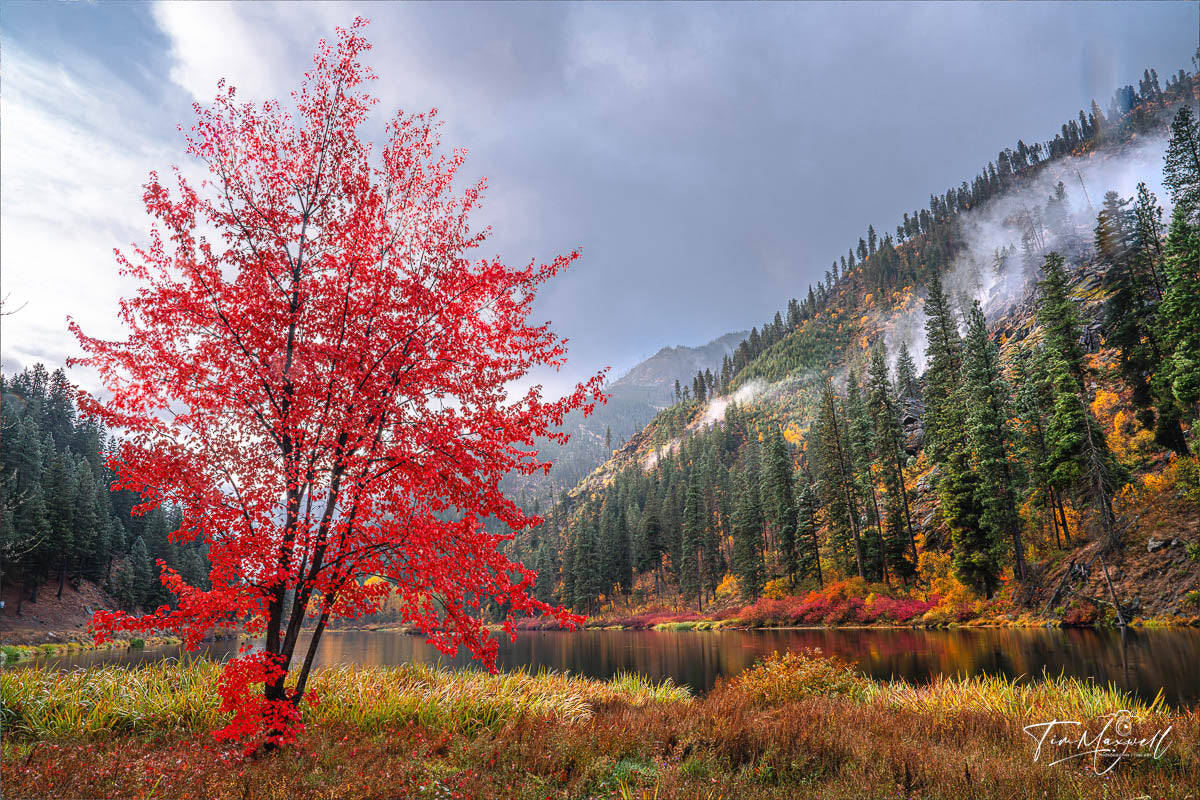 Crimson in the Canyon Leavenworth Washington fall colors fine art print by Tim Maxwell