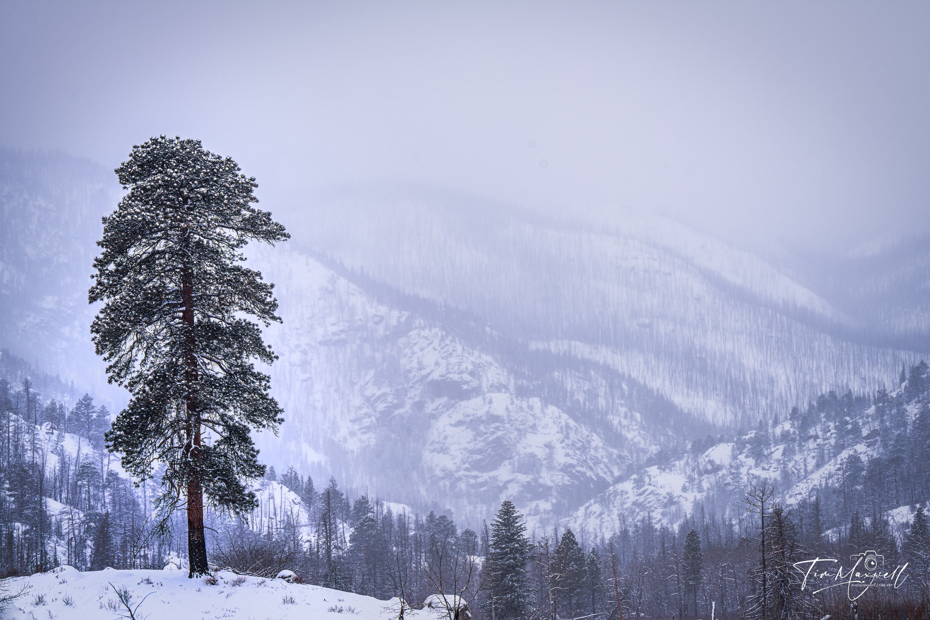 Frozen Sentinel