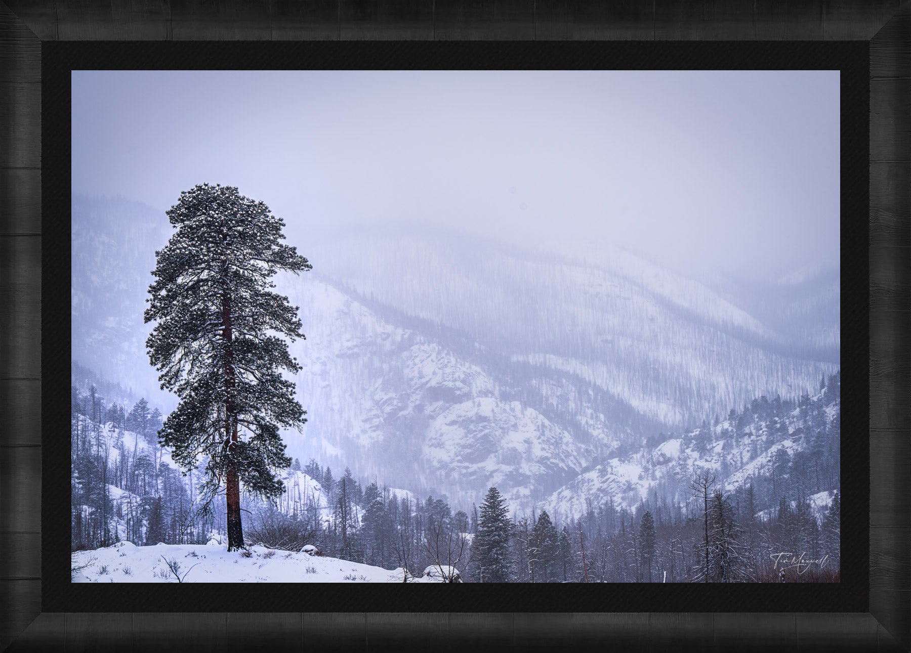 Frozen Sentinel