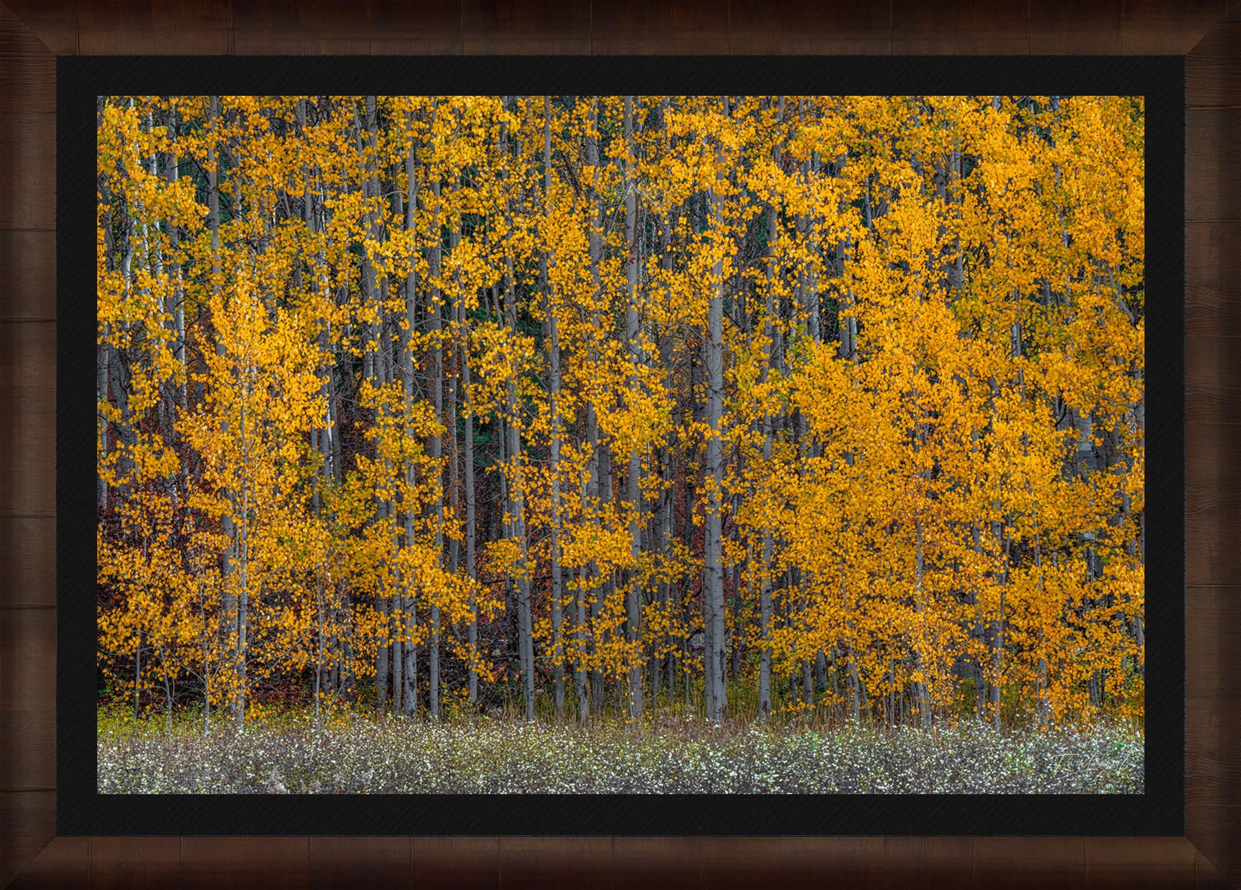 Golden Symphony fine art print in ROMA Moulding wood frame with black liner.