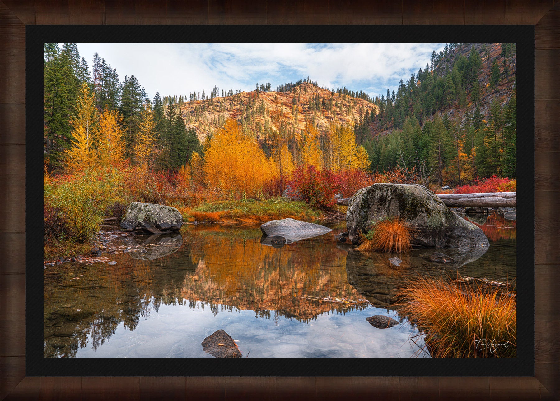 Framed Mockup: Rust & Gold fine art print in ROMA Moulding wood frame with black liner.