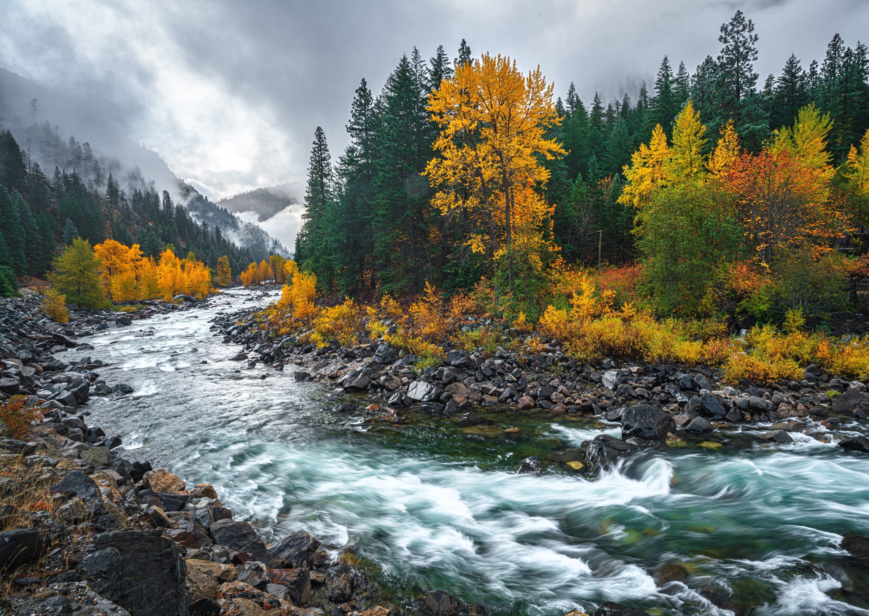 Fine Art Prints