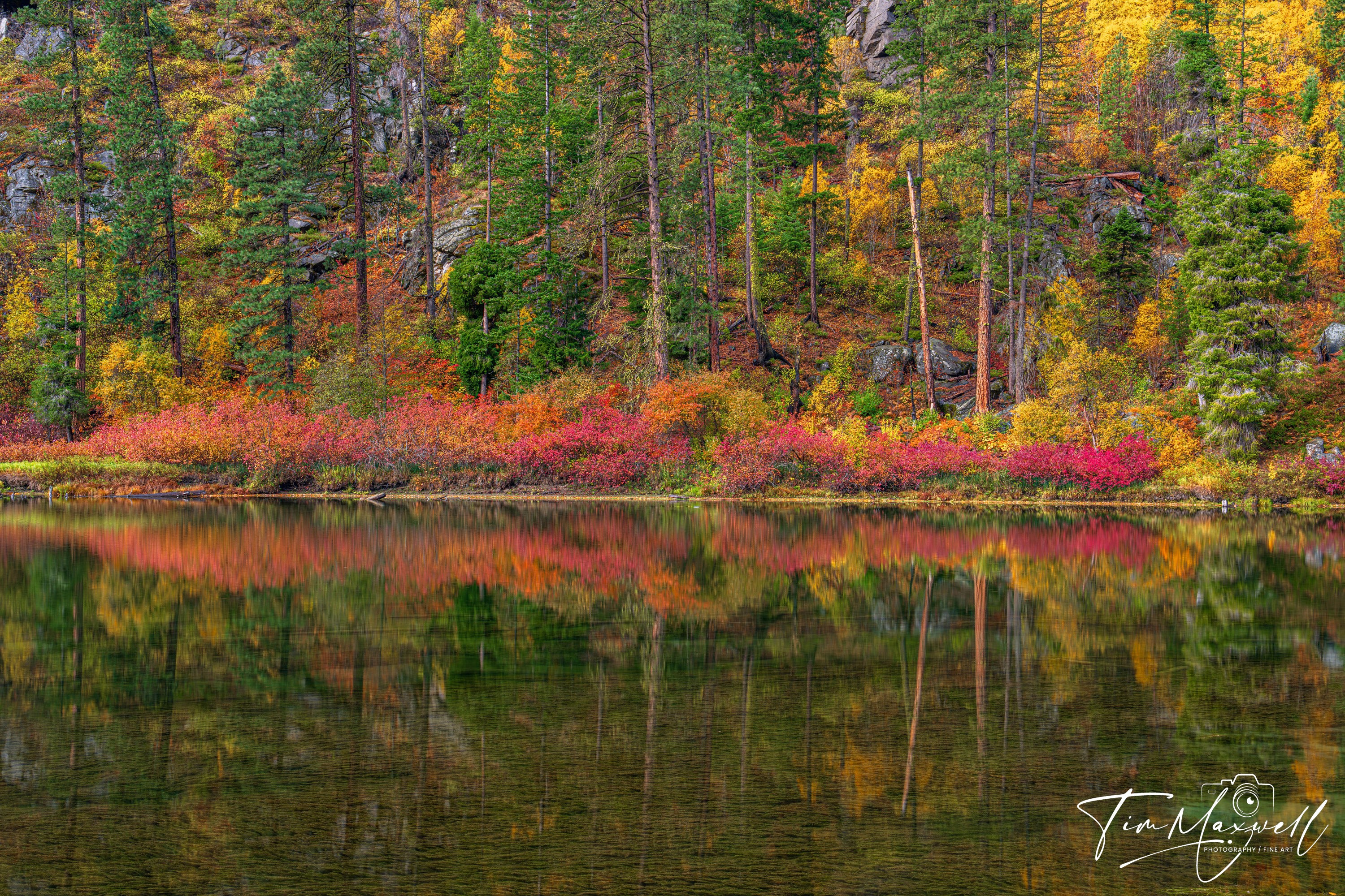 Vibrant autumn foliage of the Wenatchee River shoreline reflecting in calm water, fine art print by Tim Maxwell.