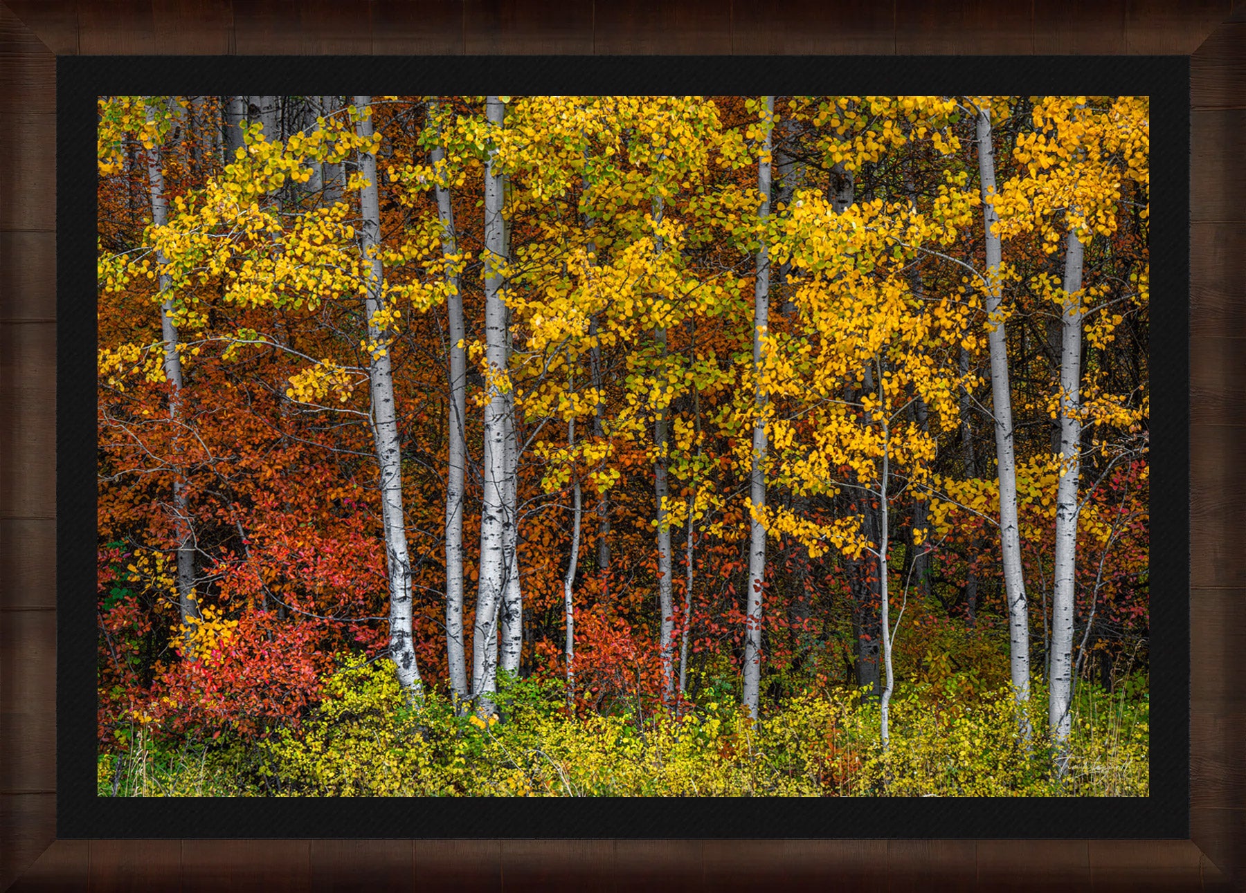 Autumn Fire fine art print in ROMA Moulding wood frame with black liner.