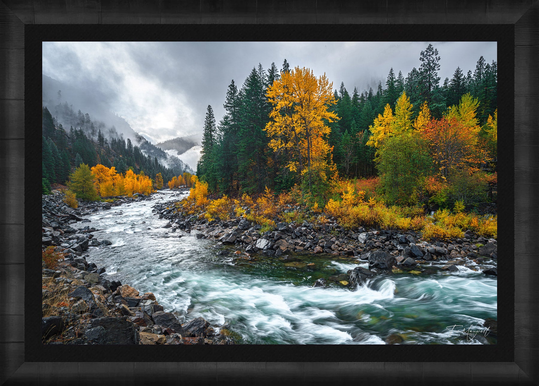 Golden Journey fine art print in ROMA Moulding wood frame with black liner.