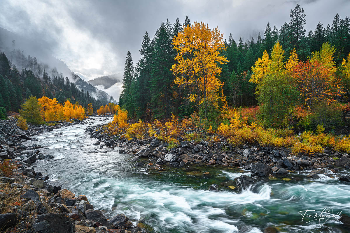 Golden Journey Leavenworth Washington Fall Colors Photography by Tim Maxwell