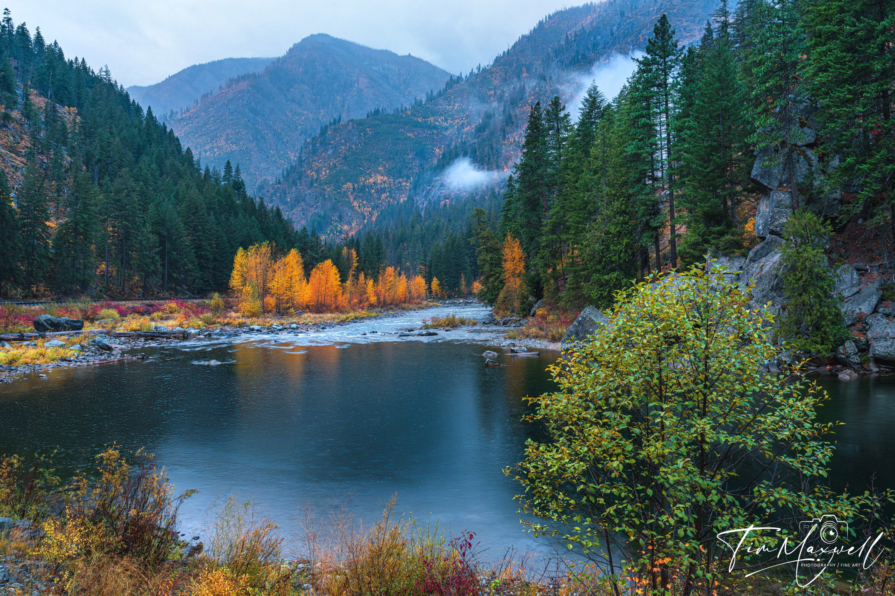Misty autumn morning in Tumwater Canyon with Wenatchee River, golden foliage, evergreens, and fog-draped mountains, fine art print by Tim Maxwell.