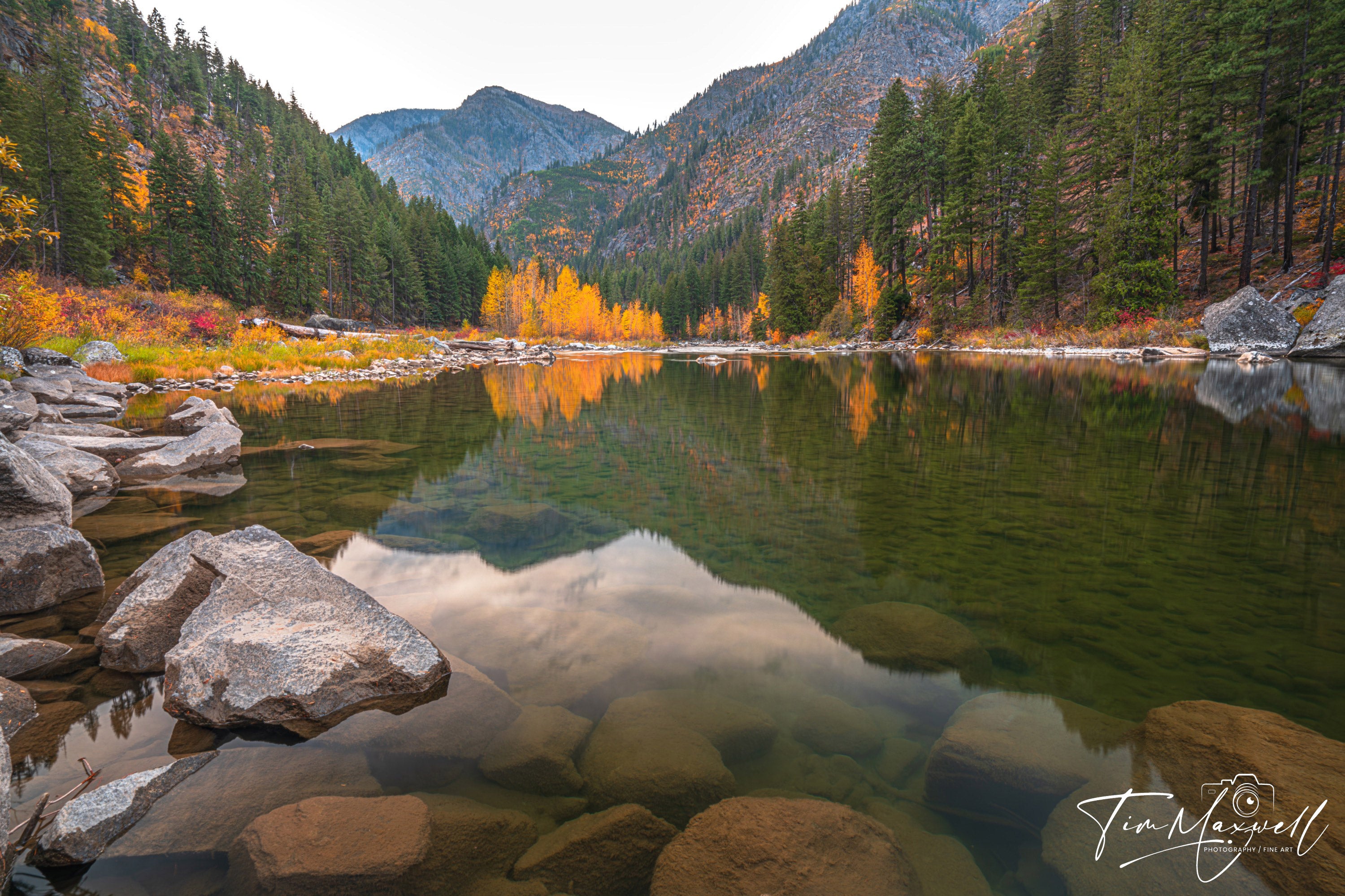 Crystal-clear river reflecting golden autumn trees and evergreens in Tumwater Canyon, fine art print by Tim Maxwell.