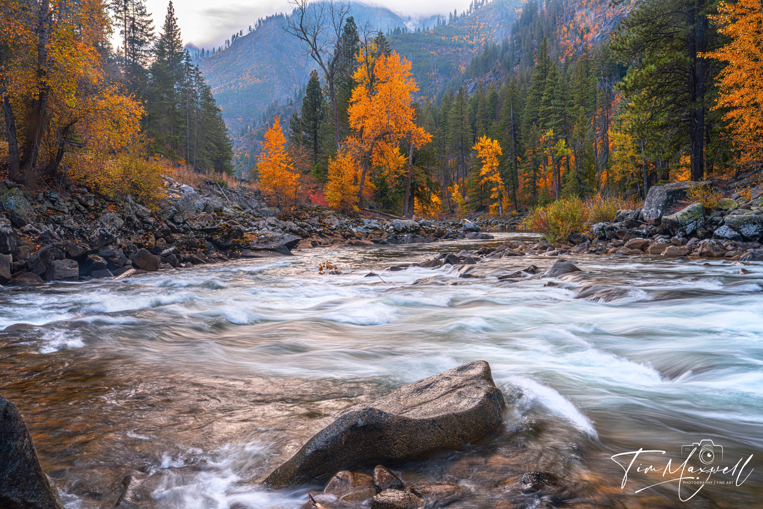 Autumn landscape of the Wenatchee River with fiery orange and gold trees, misty mountains, and smooth rocks in the foreground.