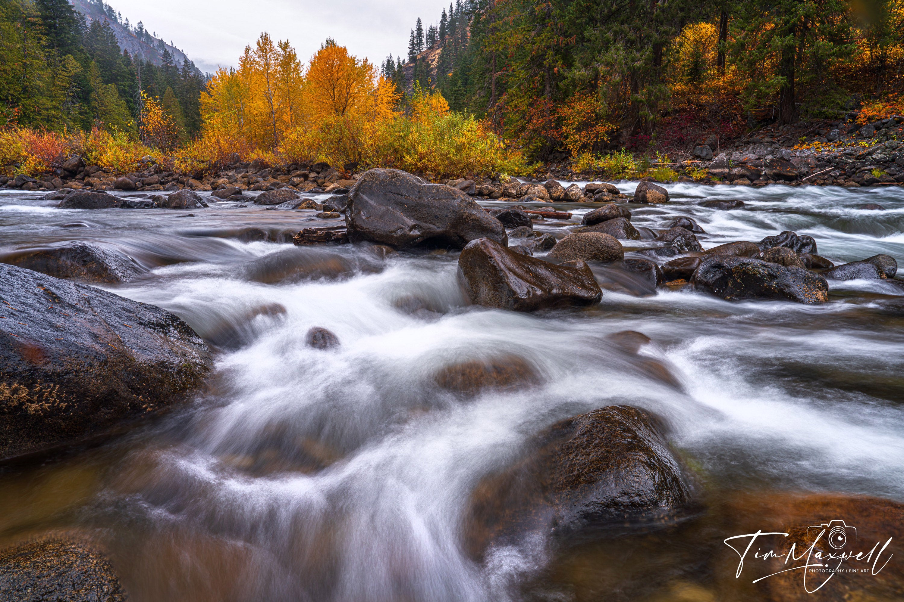 Long-exposure photograph of the Wenatchee River in autumn, framed by golden aspens and lush foliage in Tumwater Canyon.