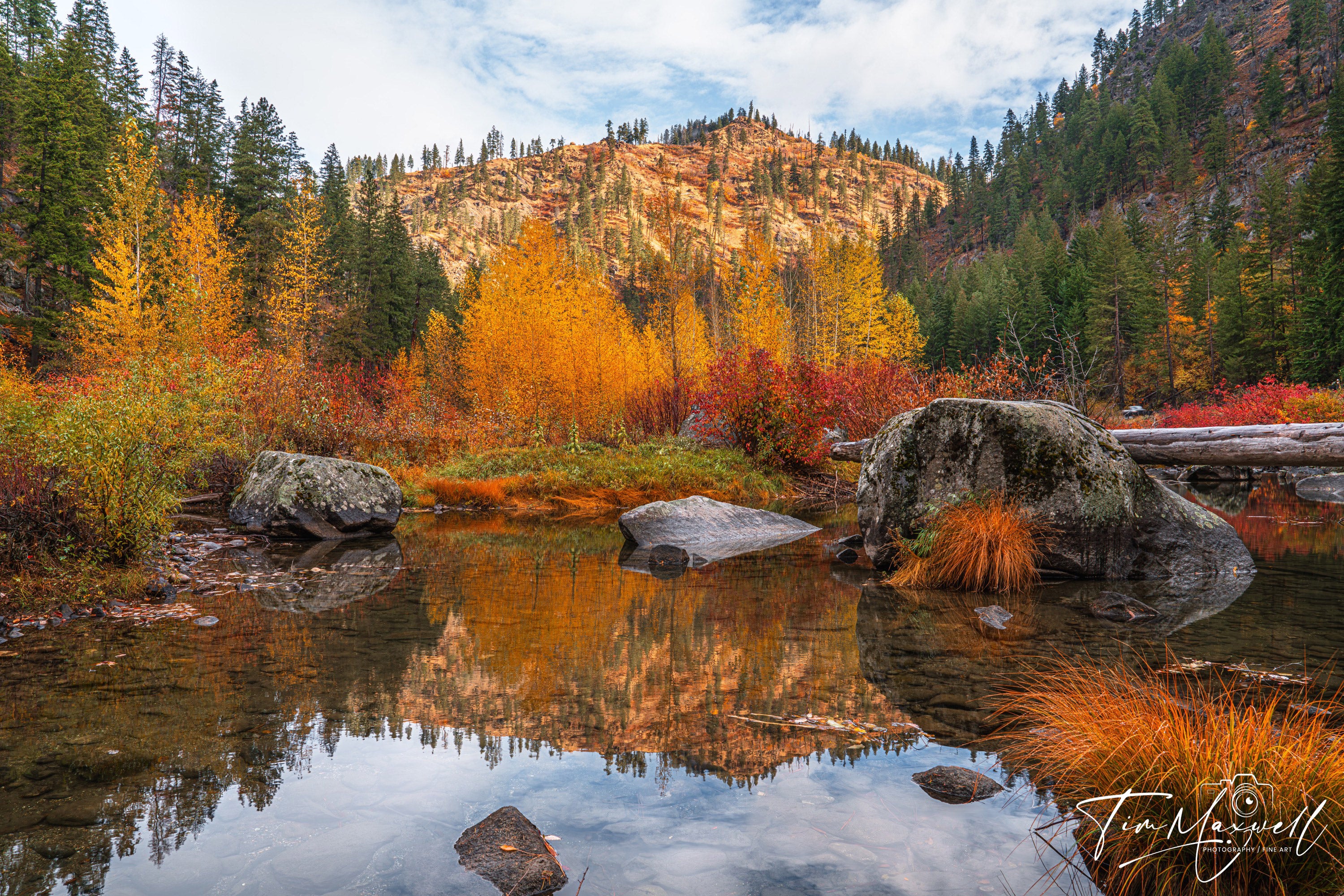 Golden aspens, red shrubs, and autumn grasses reflected in Tumwater Canyon’s still waters, fine art print by Tim Maxwell.